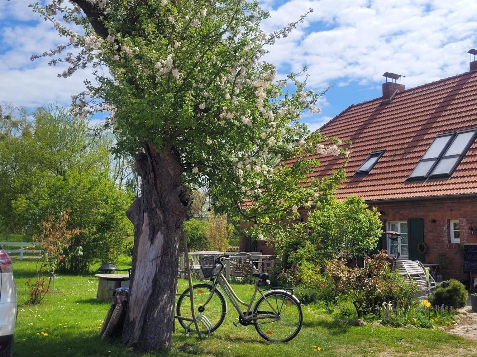 Seminar Und Landhaus Schoenbeck Schonbeck  المظهر الخارجي الصورة