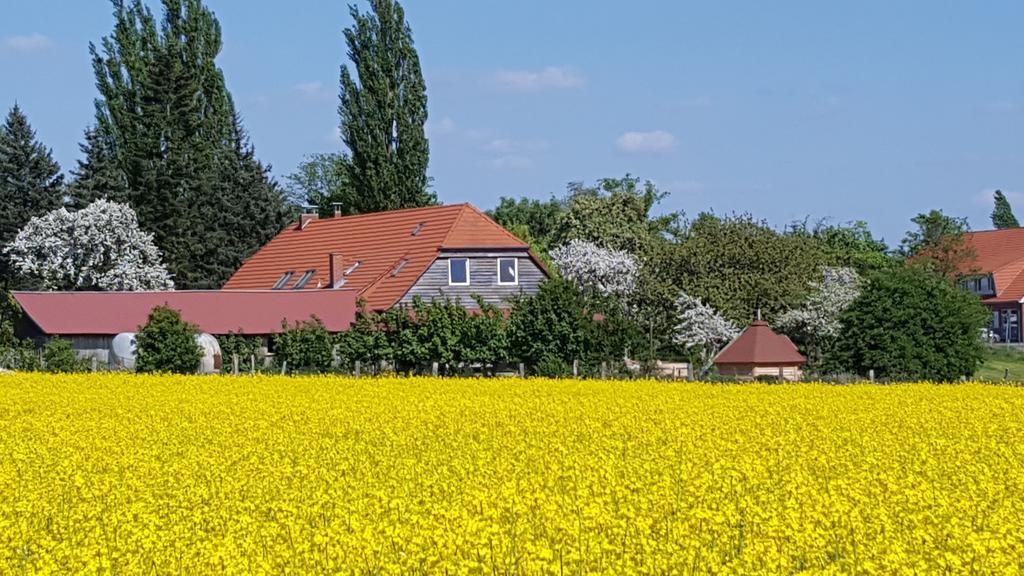 Seminar Und Landhaus Schoenbeck Schonbeck  المظهر الخارجي الصورة